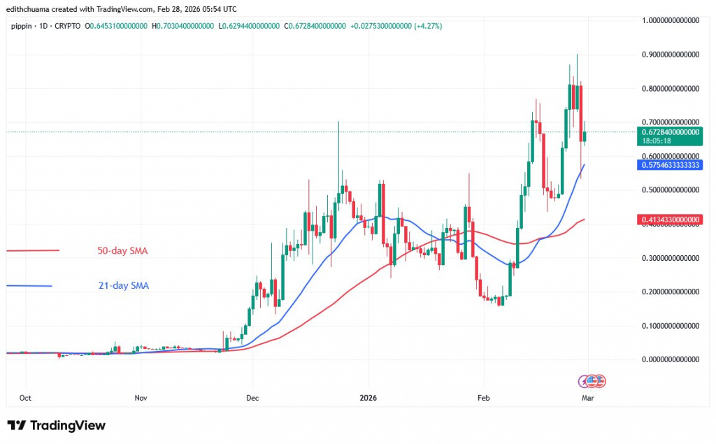 PIPPINUSD_(Daily Chart) – FEB.28 PIPPINUSD_(Daily Chart) – FEB.28