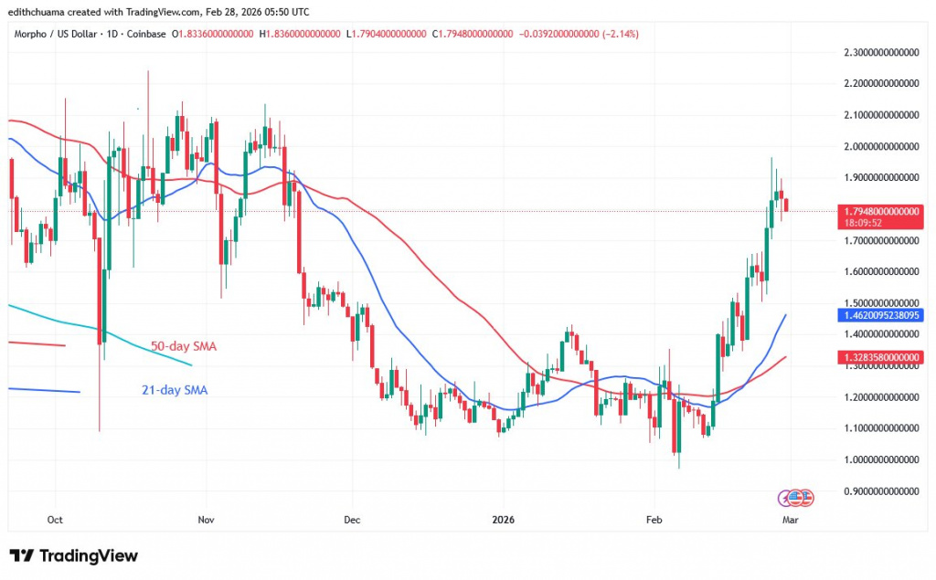 MORPHOUSD_(Daily Chart) – FEB.28 MORPHOUSD_(Daily Chart) – FEB.28