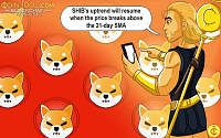 Shiba Inu Starts A Horizontal Trend And Reaches A High Of $0.00004500